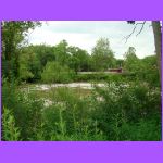 River 3.jpg